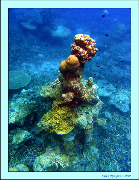 2005 - 08 - Redang  - 203.JPG